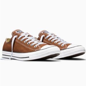 Converse Chuck Taylor All Star Low Top - Chocolate Brown